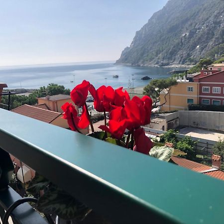 Il Sogno Di Contardi A Affittacamere Monterosso al Mare Dış mekan fotoğraf
